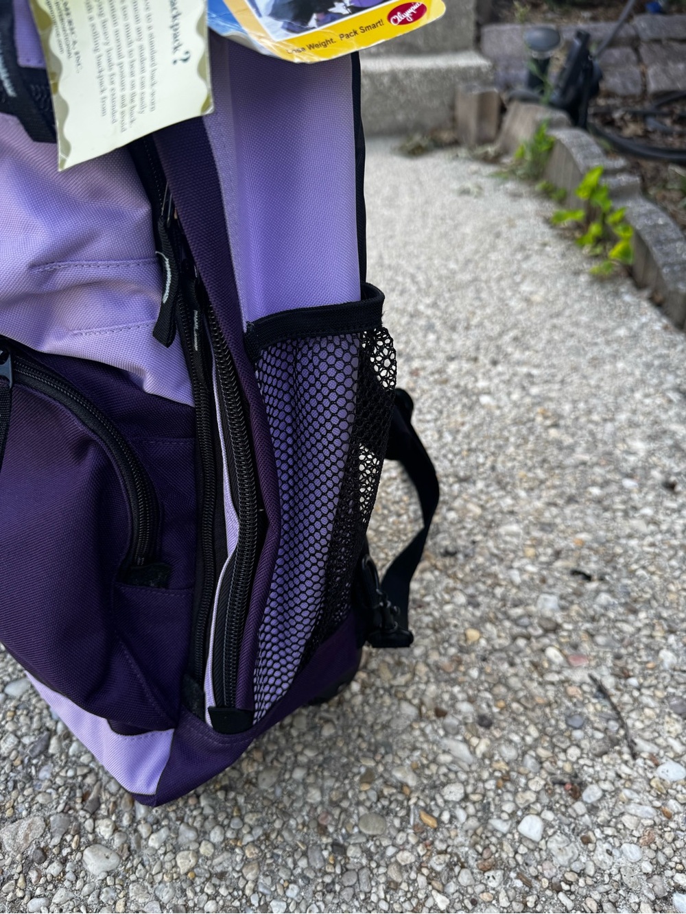 Casual Gear Purple Rolling Laptop Backpack with Dual-Tone Design - Picture 8 of 13